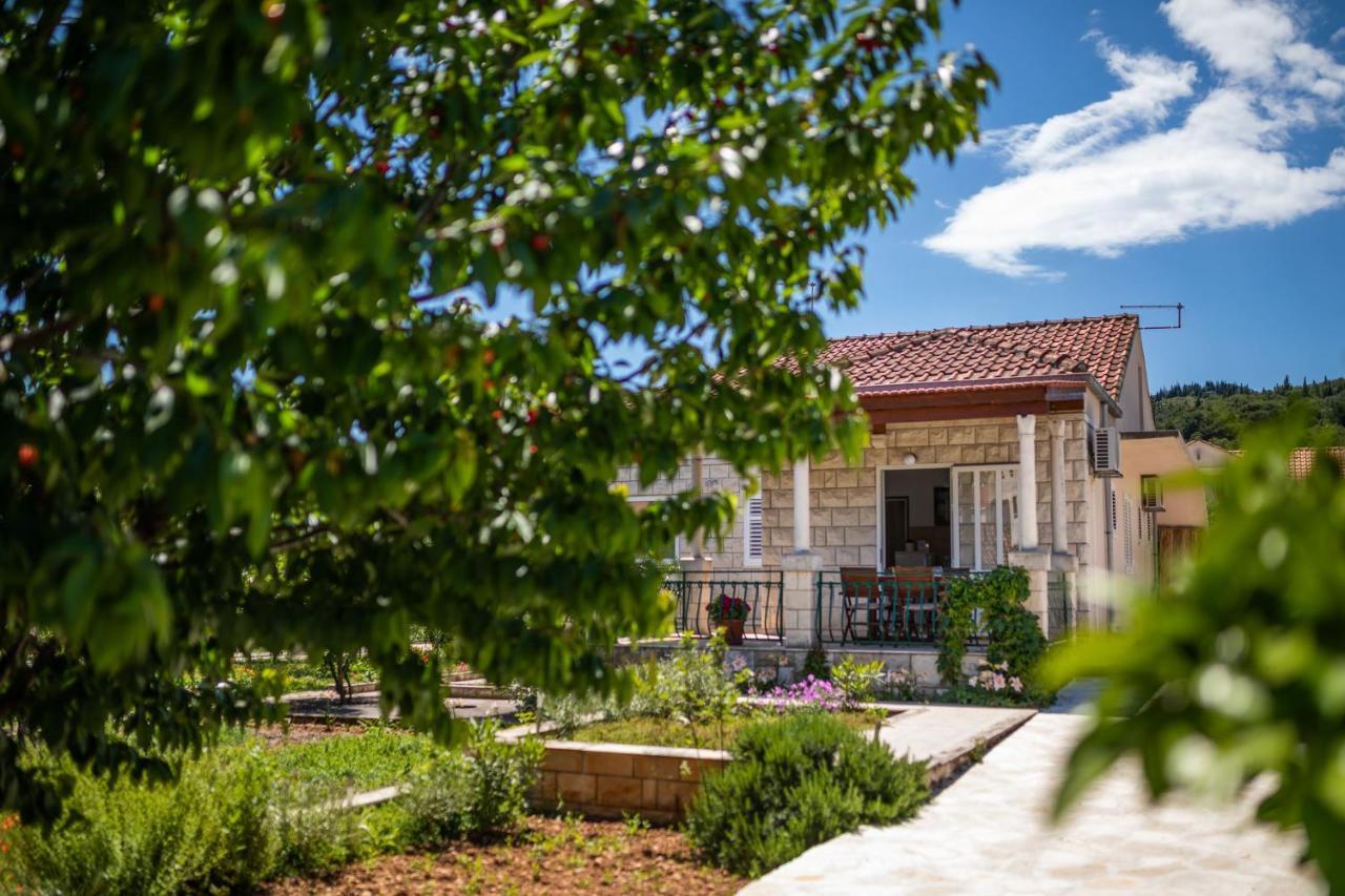 Sunny House Apartment Korcula Town Exterior photo