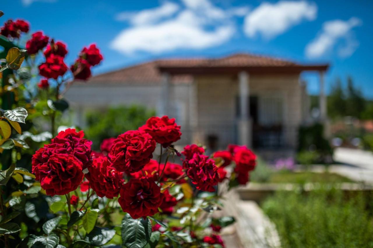 Sunny House Apartment Korcula Town Exterior photo